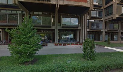 International Summer School