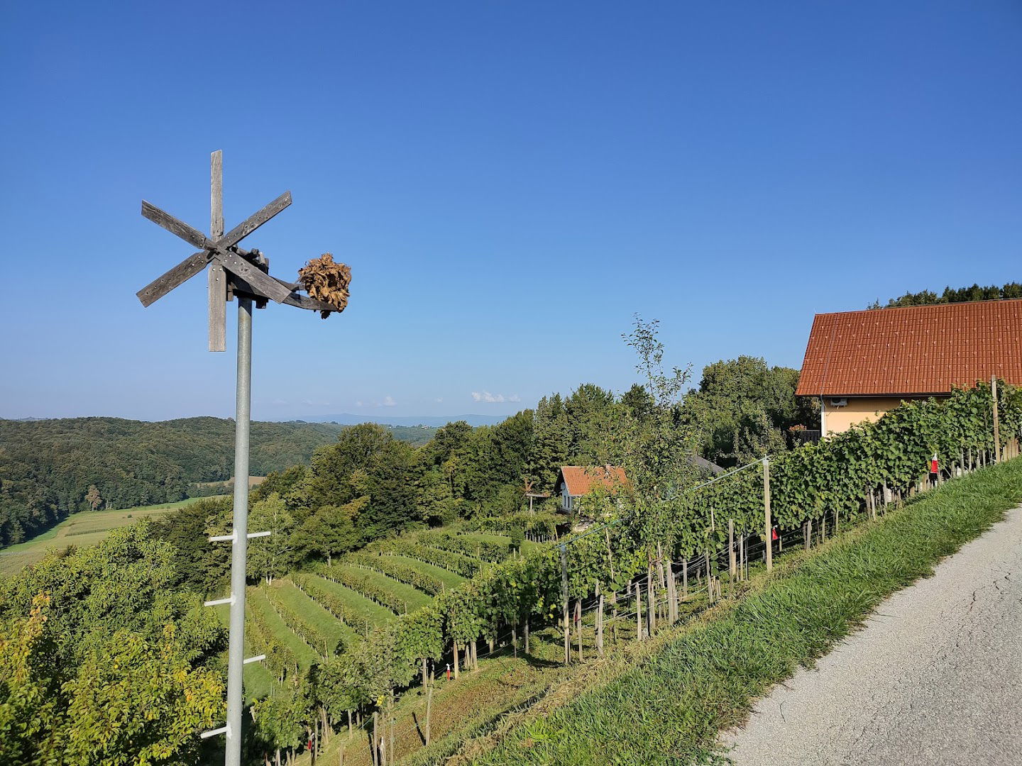 Wine & Nature & Tour