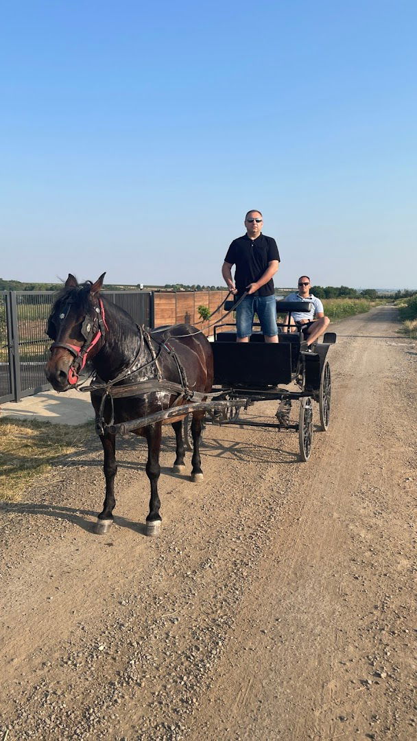 Poljoprivredno gazdinstvo Todorić