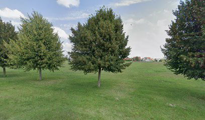 Gorican Mirohojska 14