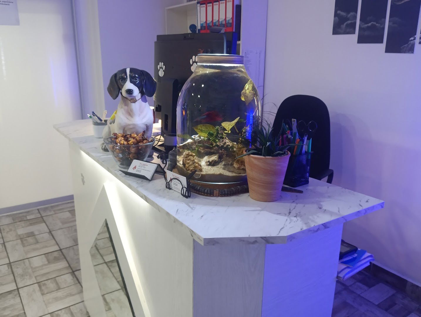 Veterinarska ambulanta Pet Impuls Beograd