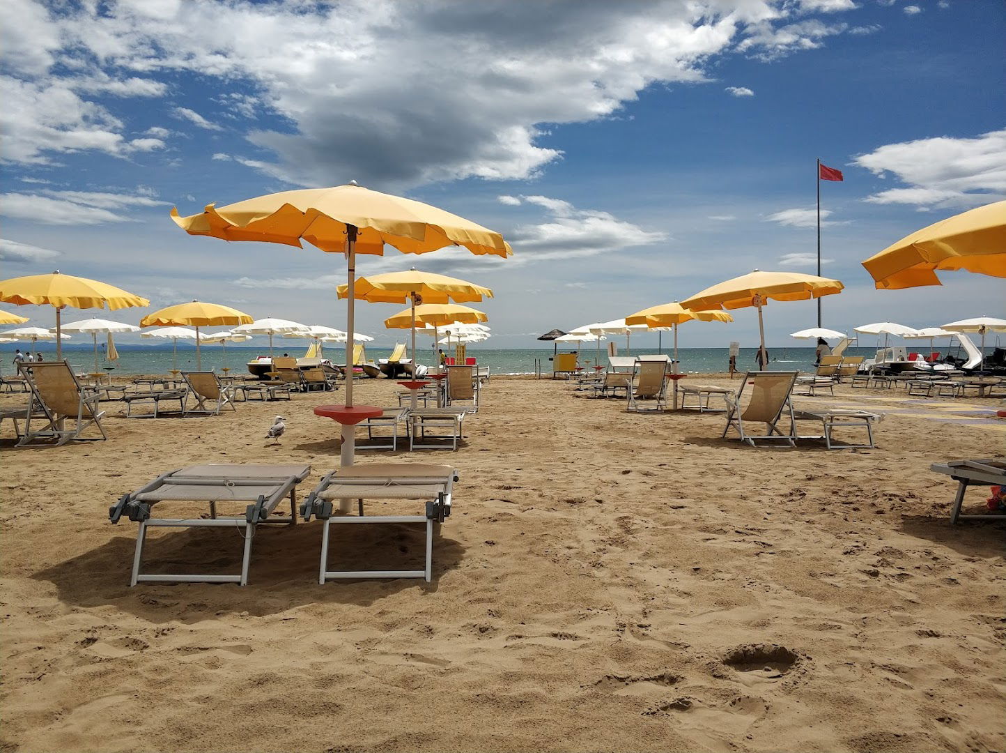 Sabbiadoro 11 - Lobster