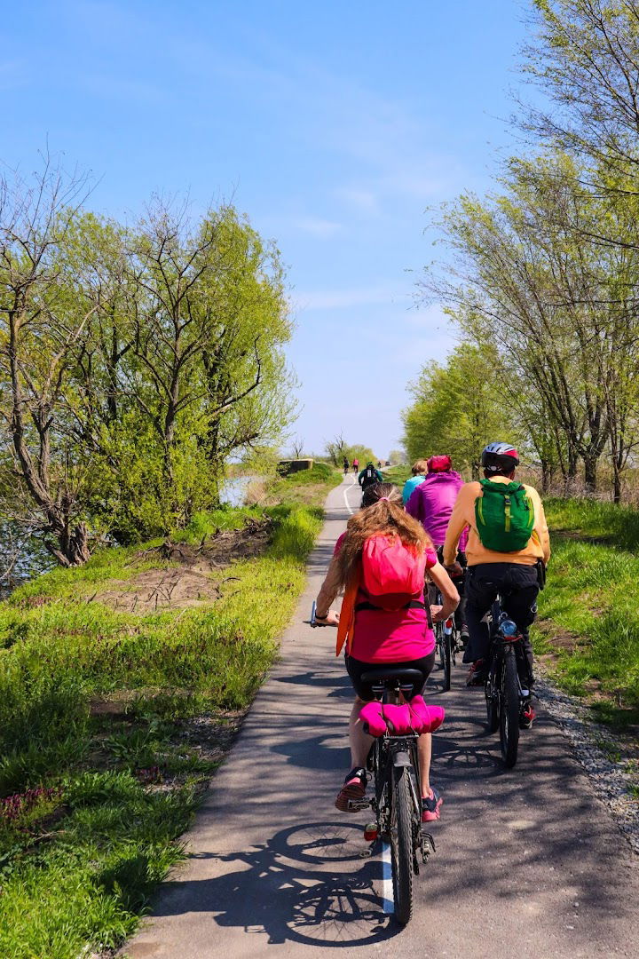 International CyclePath Zrenjanin - Timisoara