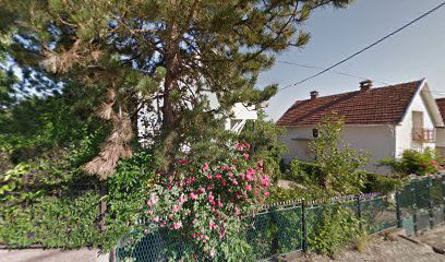 Danijela Radovanovć