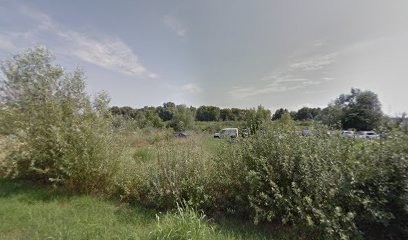 Vinogradska (Surčin naselje)