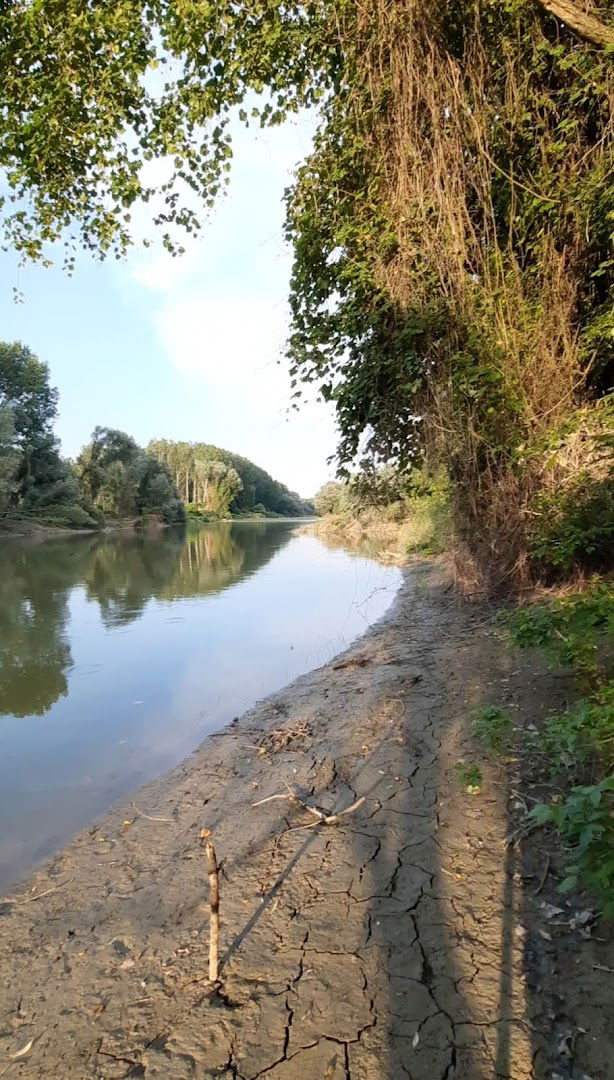 Думбовачки Дунавац