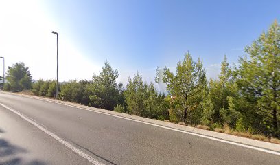 Promajna Vukovarska ulica