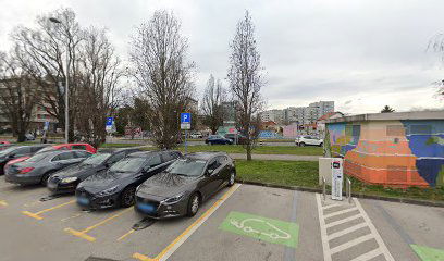 Petrol Charging Station