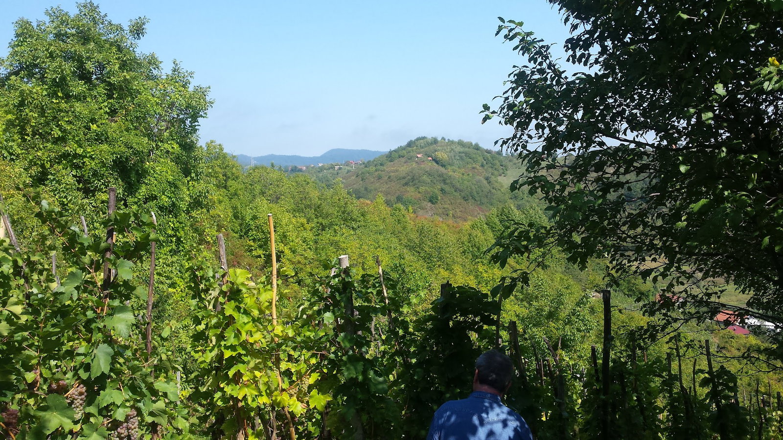 Autoservis Bertović