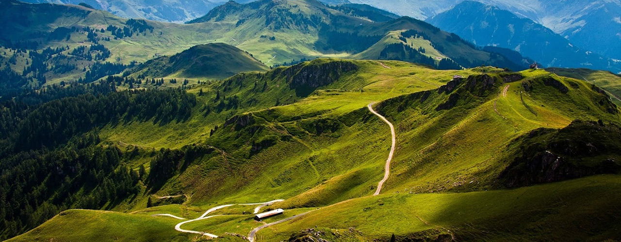 Butik Mesa Isidorović