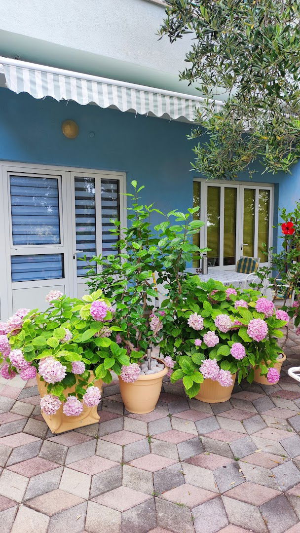 Holiday Escape From City Center