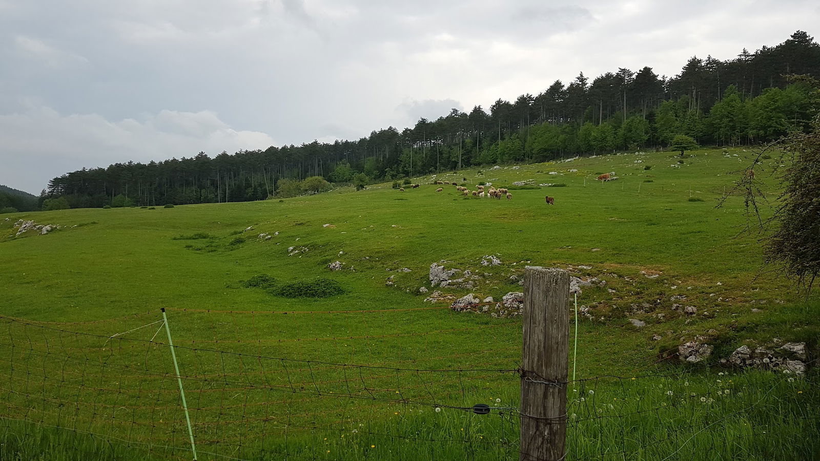 Turistična kmetija pri Cunarju Žužek Franc s.p.