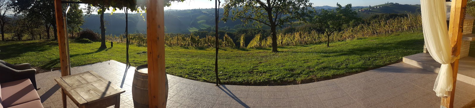 Poslovno svetovanje, Gašper Mramor s.p.