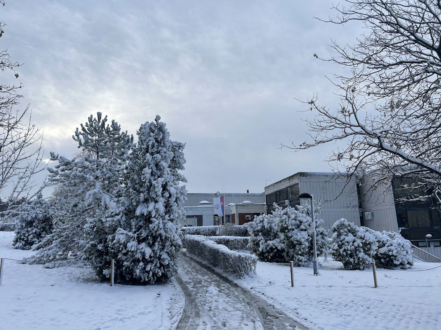 University of Belgrade Faculty of Pharmacy