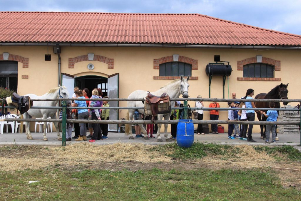 Konjeniški klub Postojna