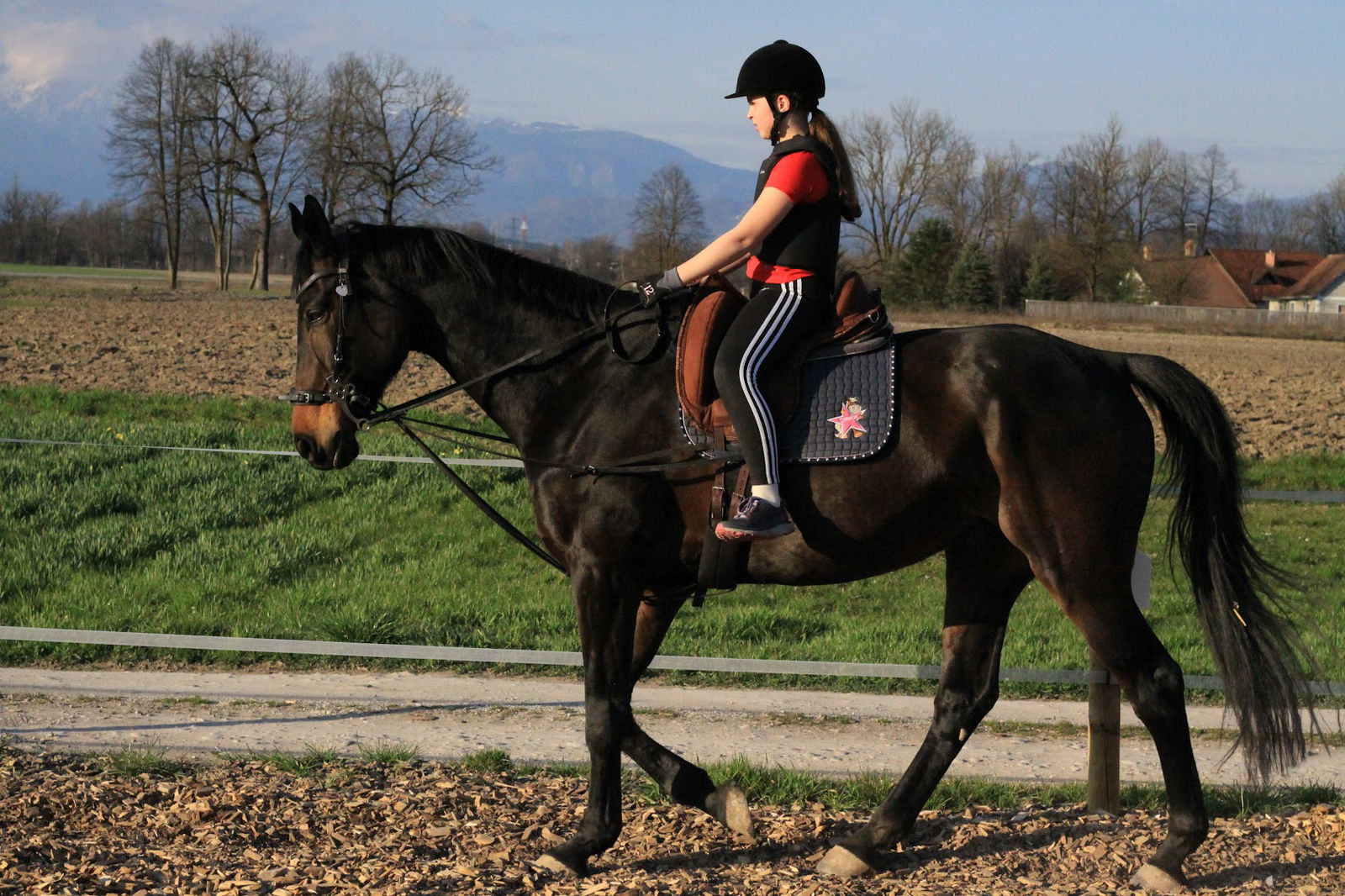 Konjeniški Zavod Geronimo-Šola jahanja Ljubljana, jahalni tabor, masaža, osteopatija in fizioterapija za konje