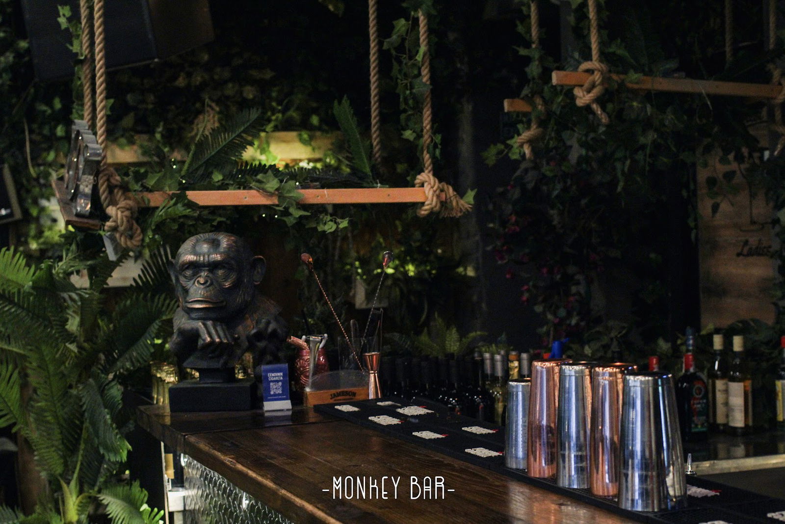 Monkey Bar Belgrade