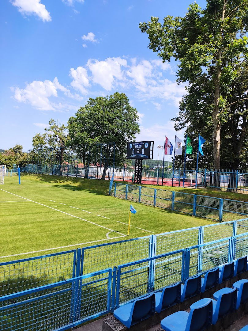 NK Slavija Pleternica