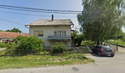 VETERINARY STATION Ltd.