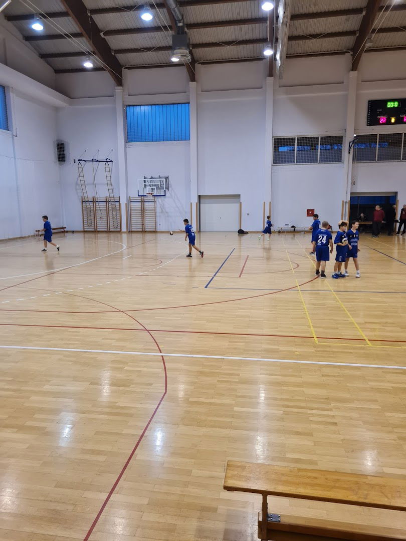 Športska dvorana - Pleternica