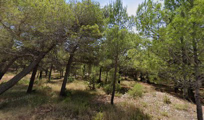 Aquamarin beach club