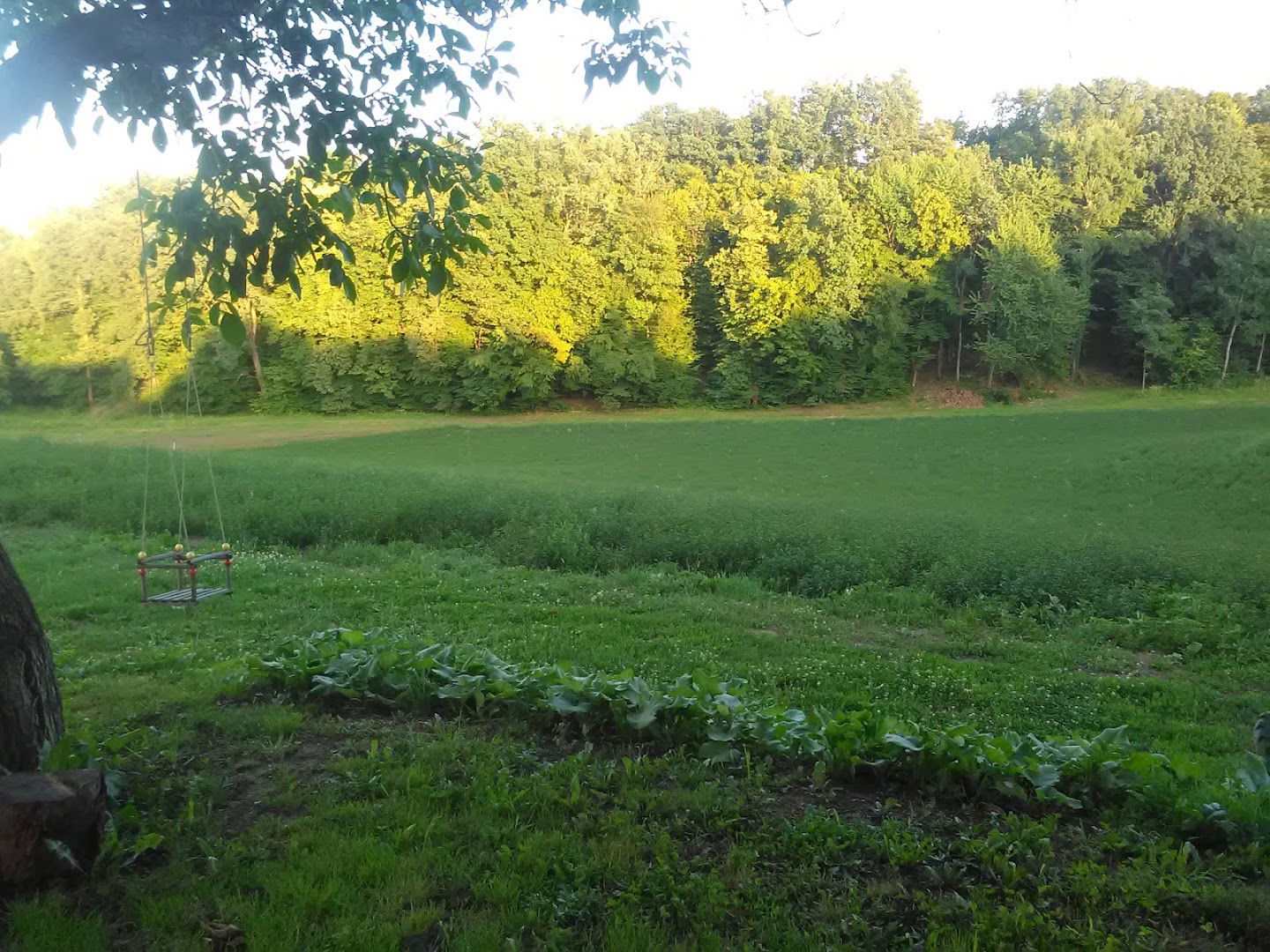 BIOPLANTA, OBRT ZA PROIZVODNJU LJEKOVITOG, AROMATIČNOG I ZAČINSKOG BILJA VL. GORANA DEREŽIĆ