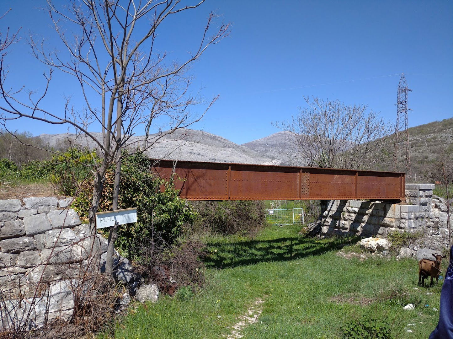 Stari željeznički most