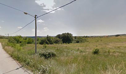 Timočki put (srednji deo)