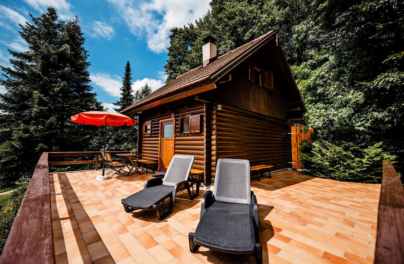 Chalet GOZDNA VILA