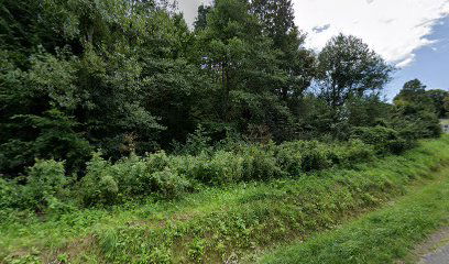 Somogybükkösd, Csurgói elágazás [9]