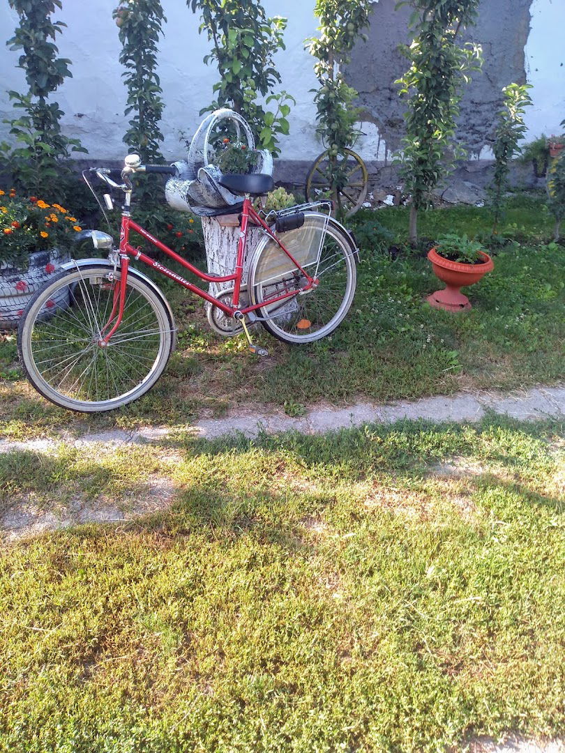 VOJPUT - пункт Банатски Двор