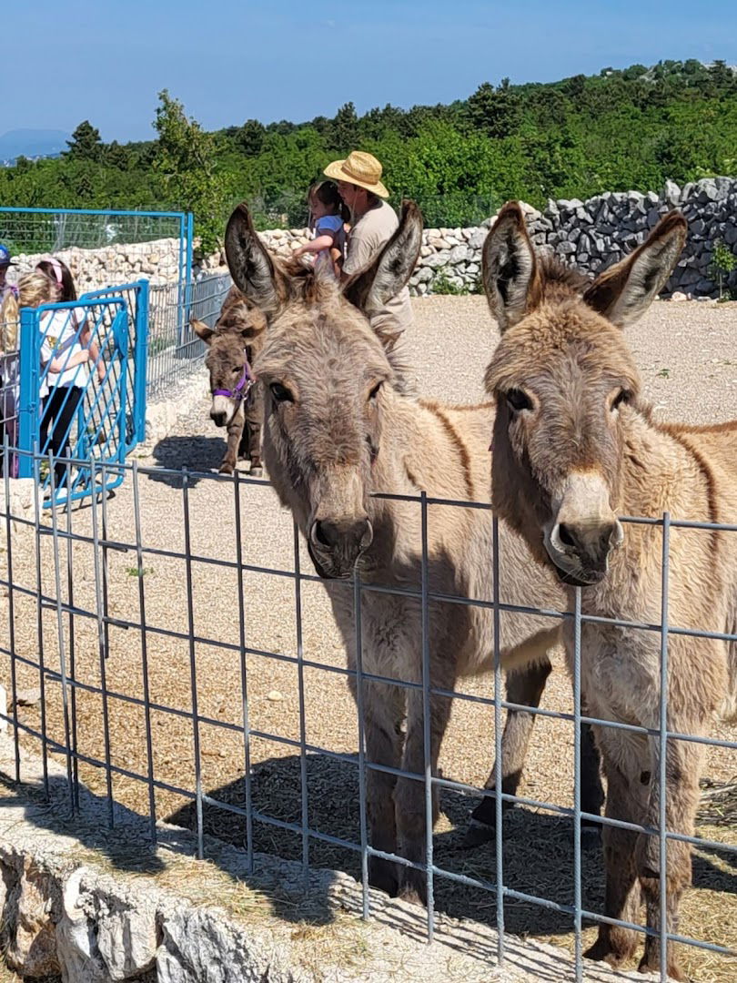 DONKEY FARM & TOURS CROATIA - FARMA MAGARACA OPG LUCIĆ