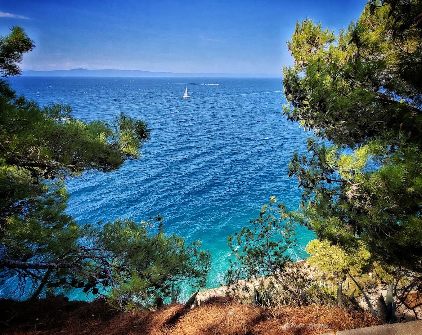 St. Peter's Forest Park