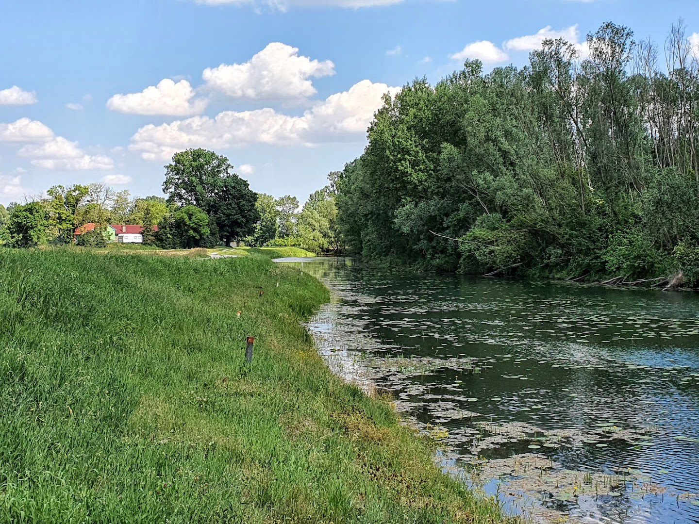 Zeleni brijeg (ribički dom) Repaš