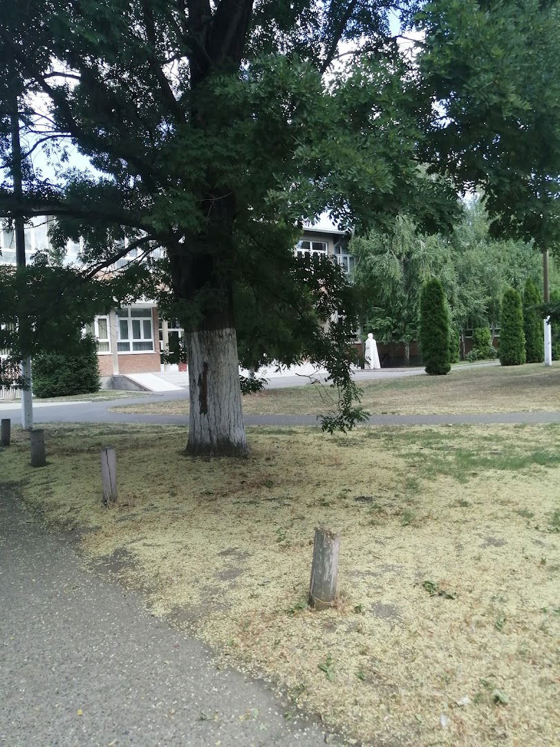 a colonoscopy pocket padina