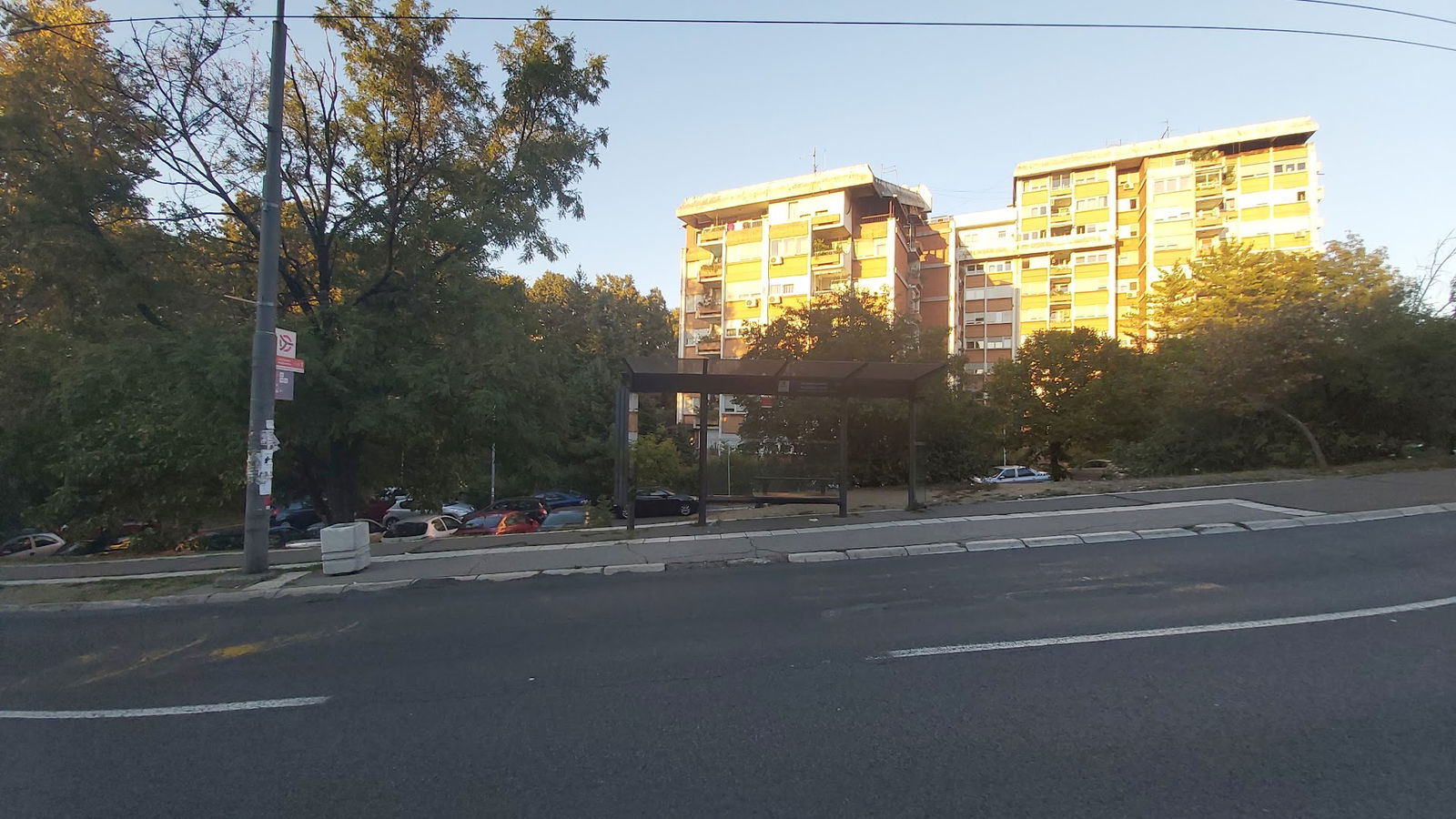 Svetozara Radojčića