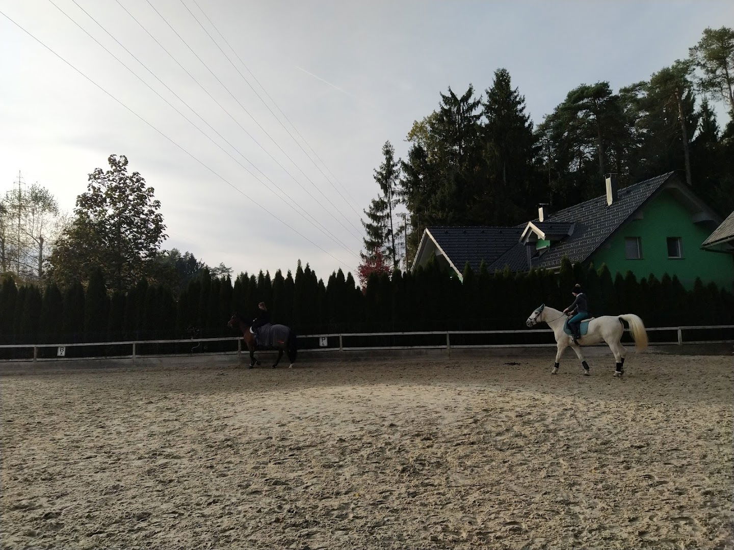 Equestrian center Kurovt