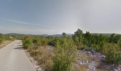 KORUŠCE GRUBIŠIĆI 2