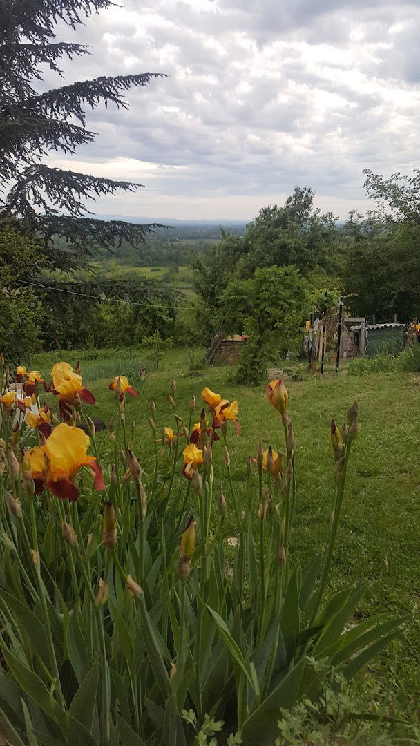 Фк Јединство - Милорци