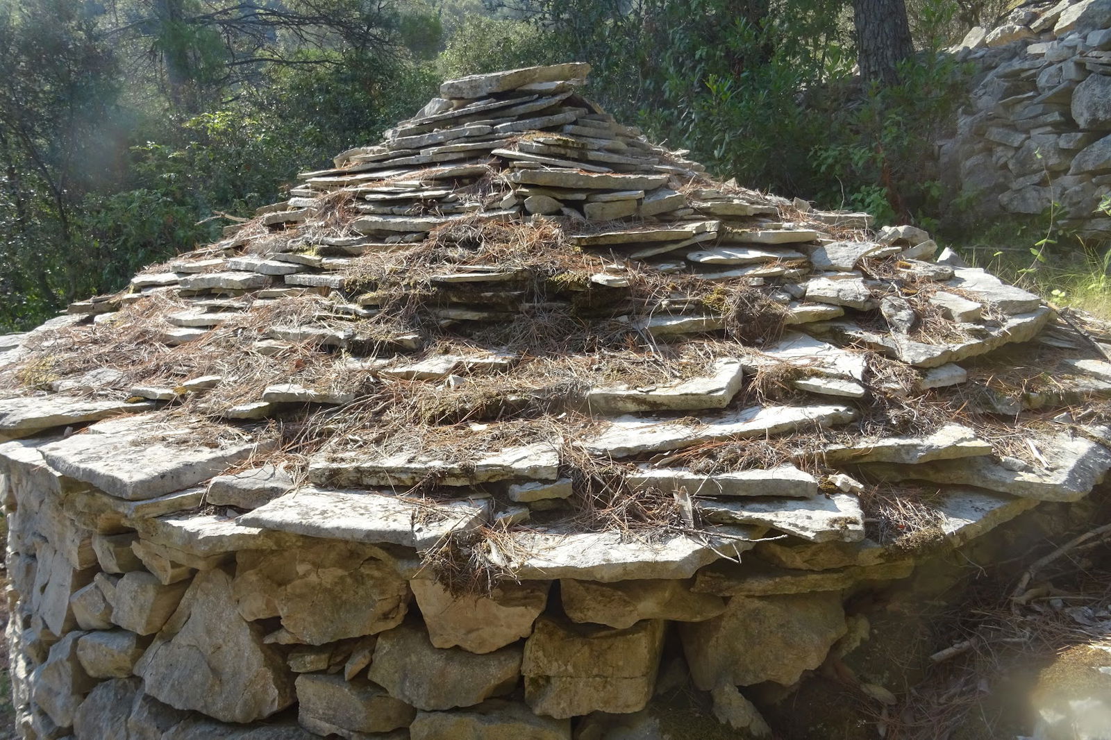 Vrtuljak, uvala sprtisca