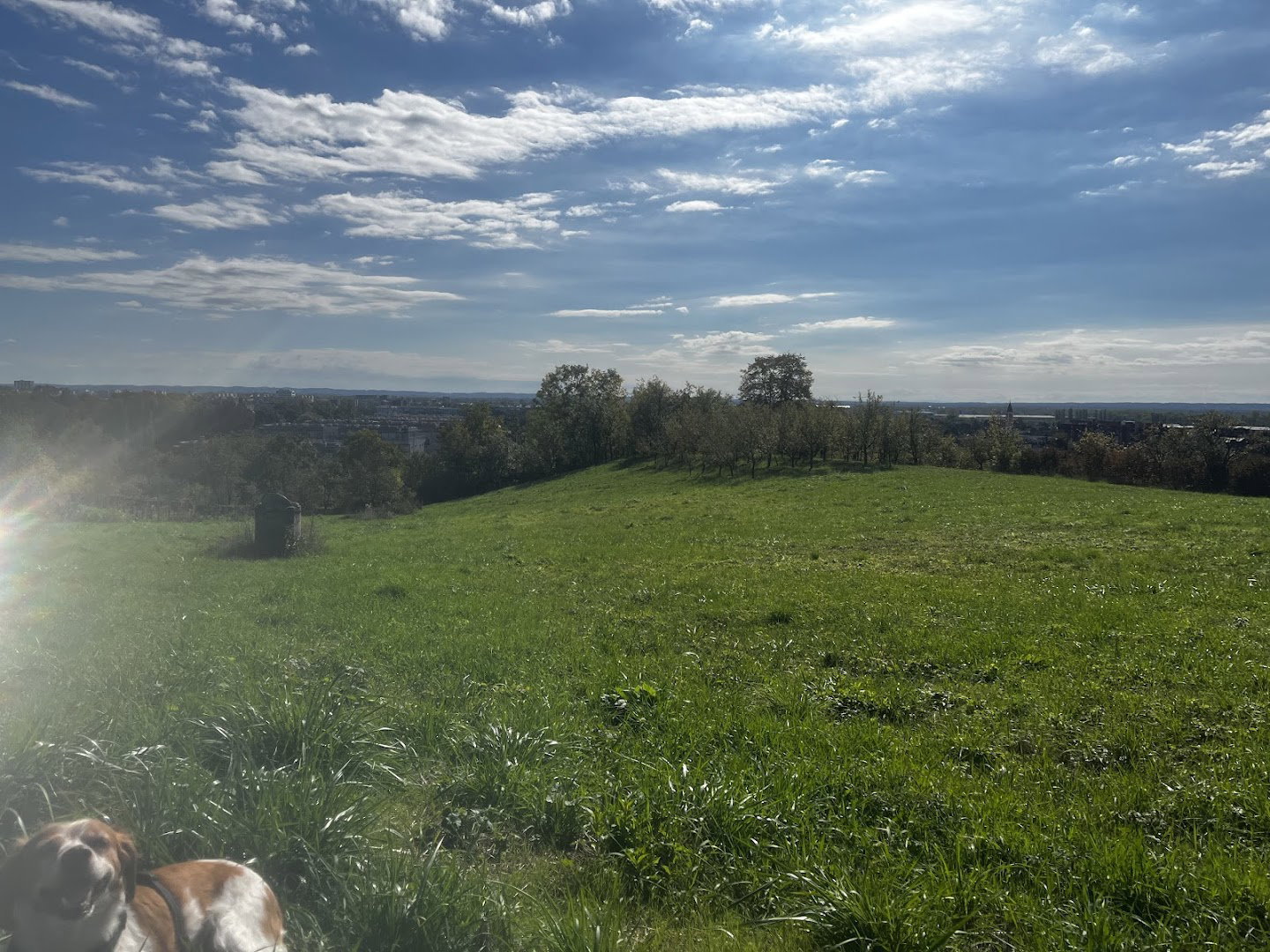 Brijeg - privatni posjed