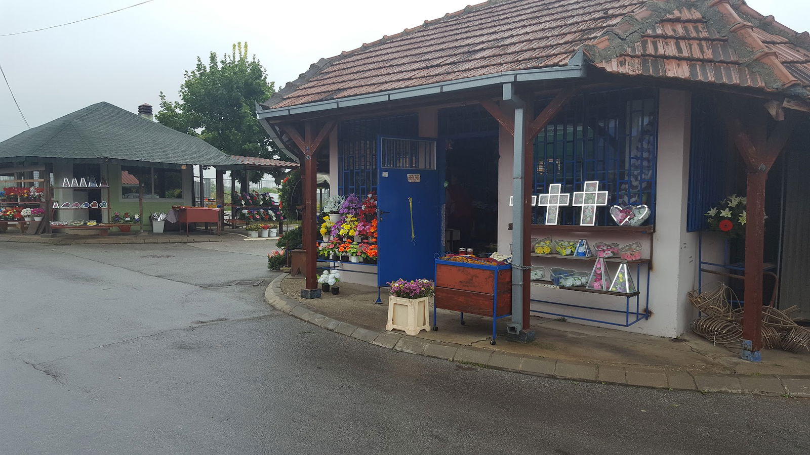 Cvecara na zbegu -Bojana i Stana