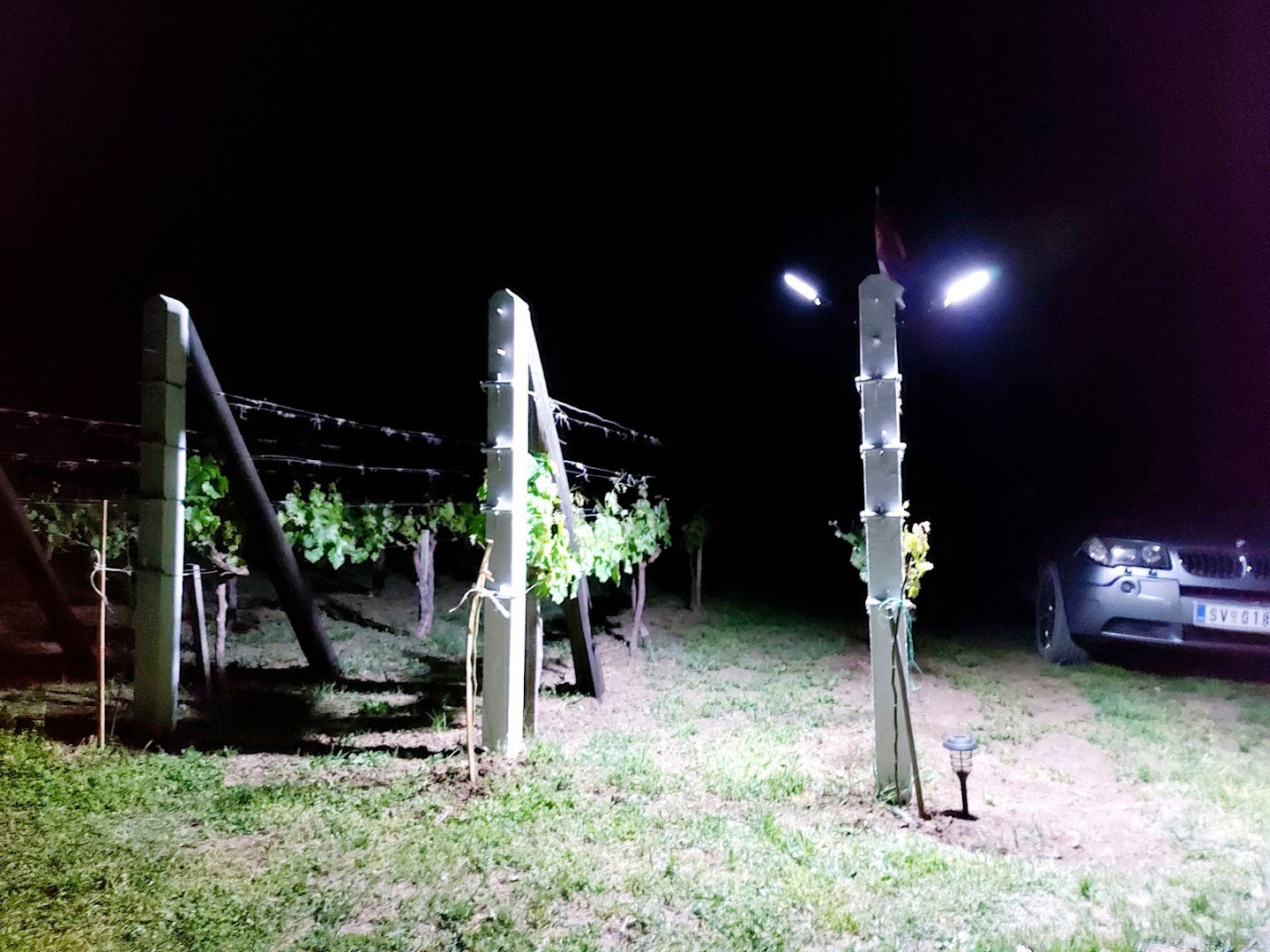 Kolibica Miletić,Brdo Baćica