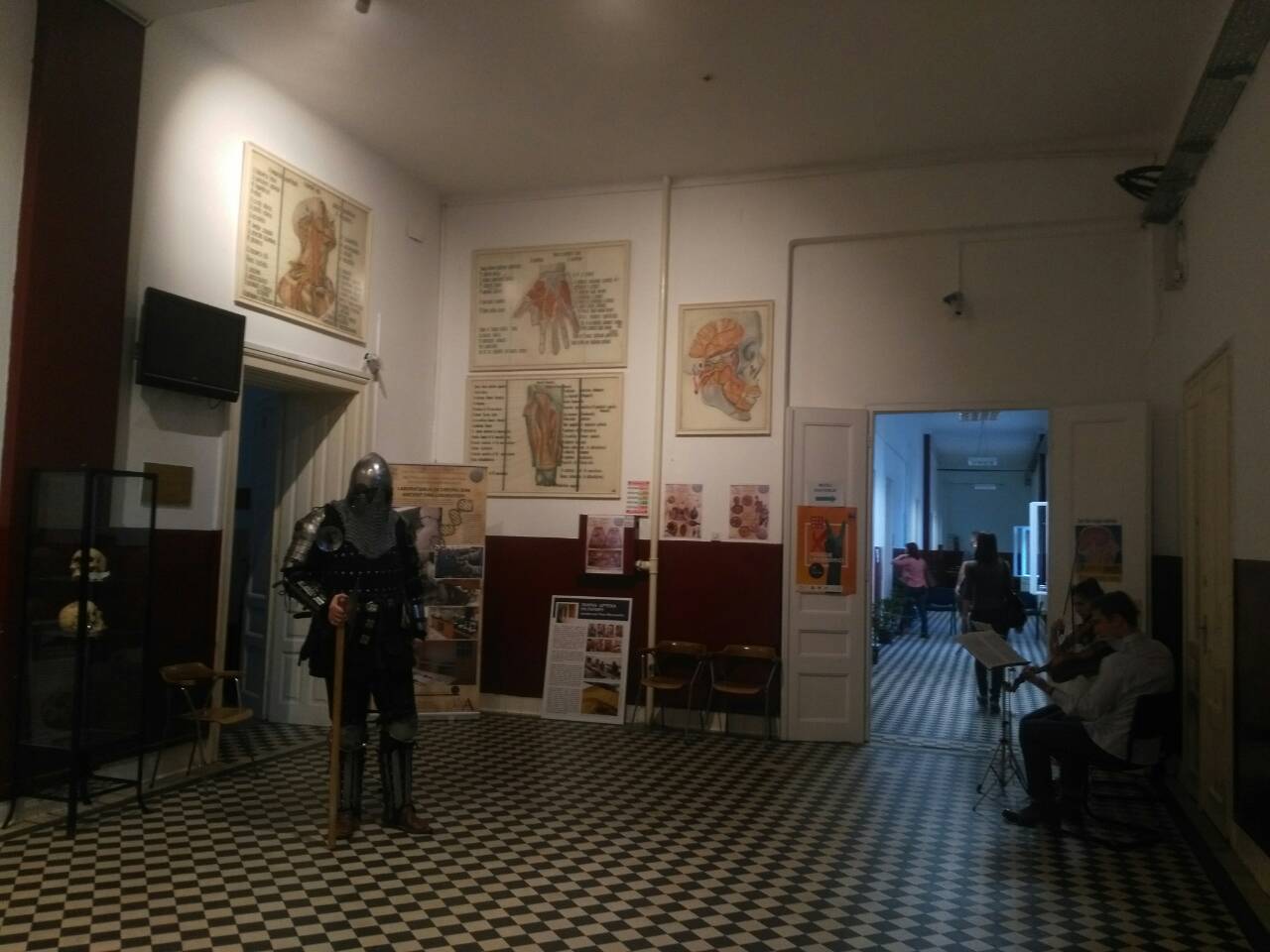 Institute for Anatomy - Niko Miljanić