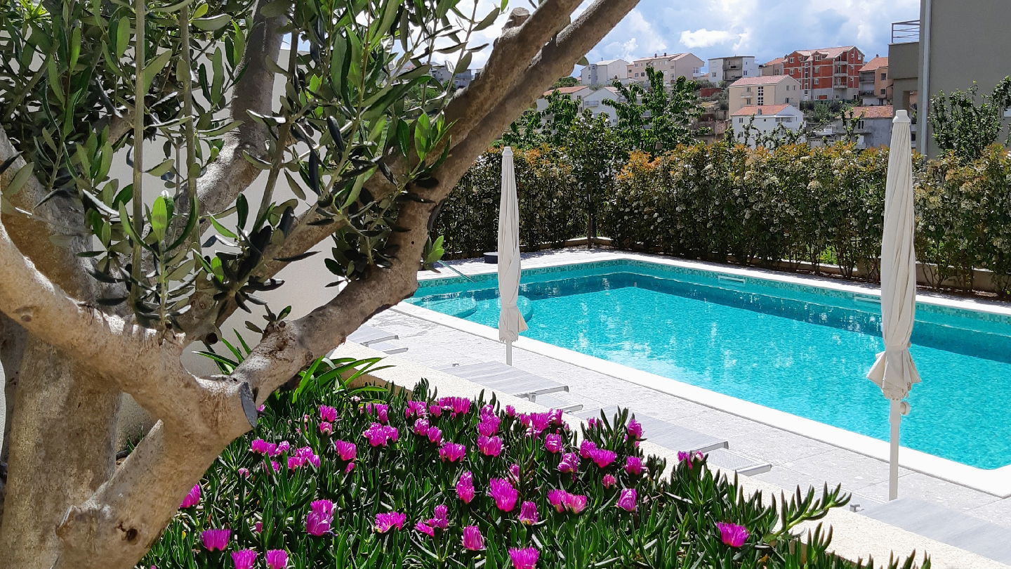 Olive Tree Apartments