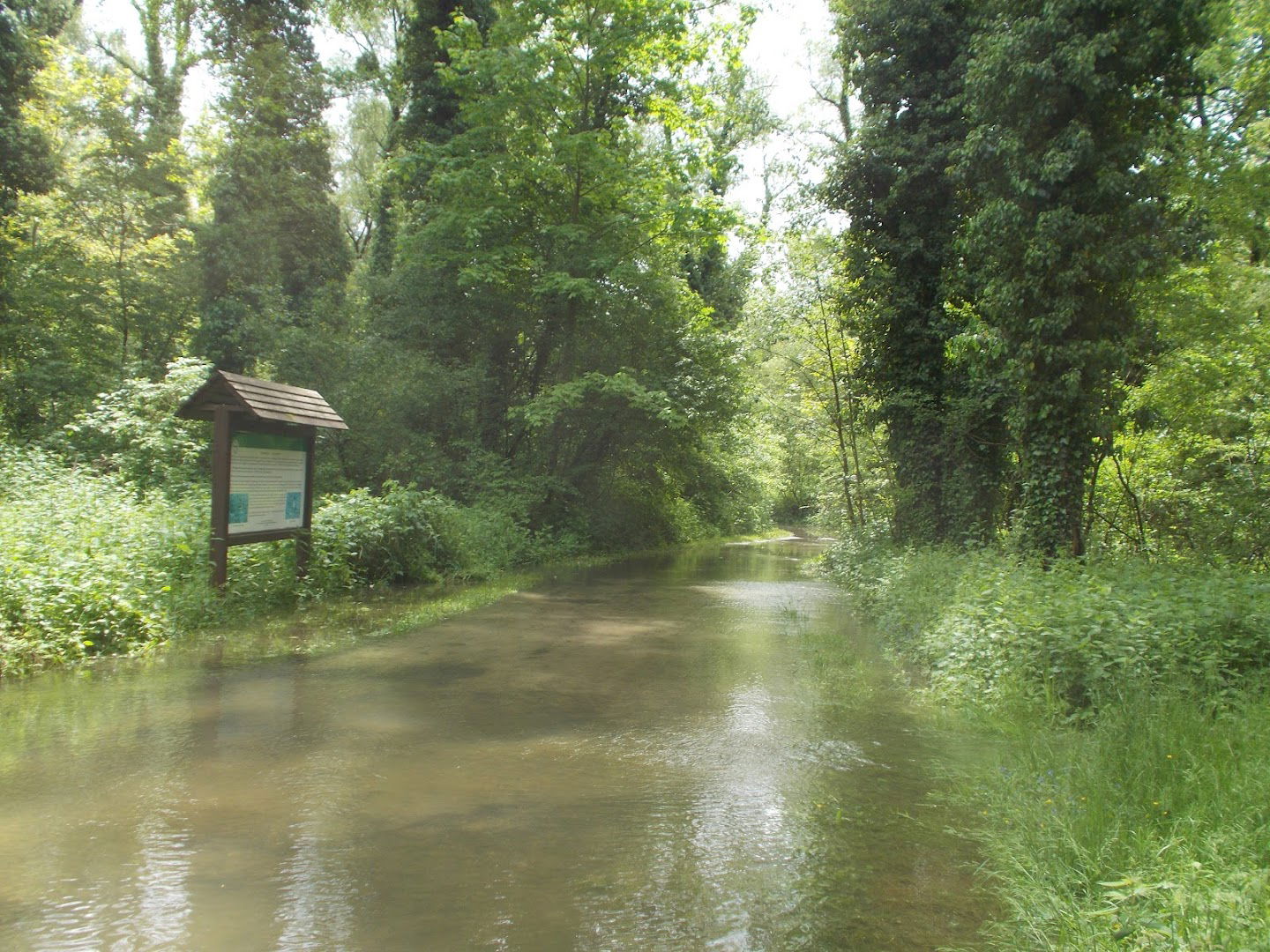 Horgászhely Drávapart