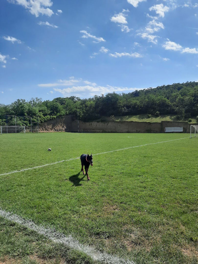 Fudbalski klub "DUNAV" Veliko Selo