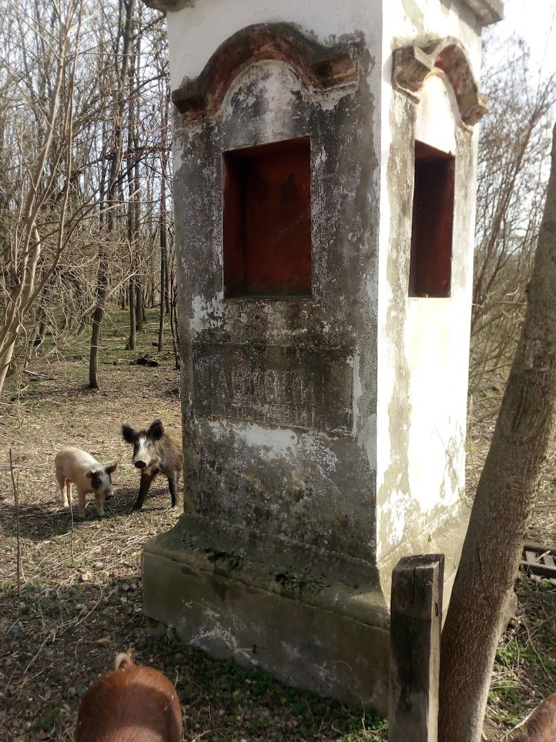 Стари Витојевци