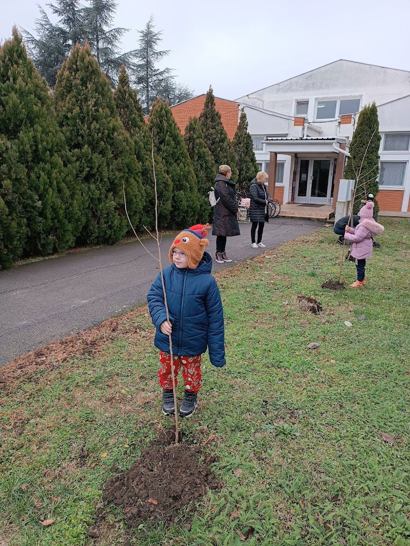 Основна школа "Соња Маринковић" Зрењанин