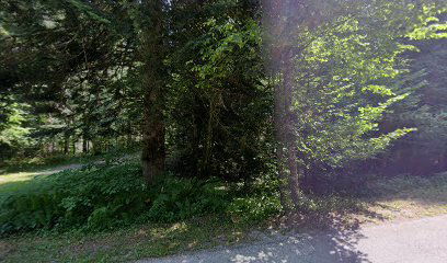 Debela jelka ob cesti